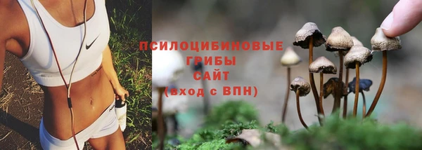 мяу мяу мука Абинск