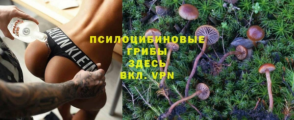 дурь Алексеевка