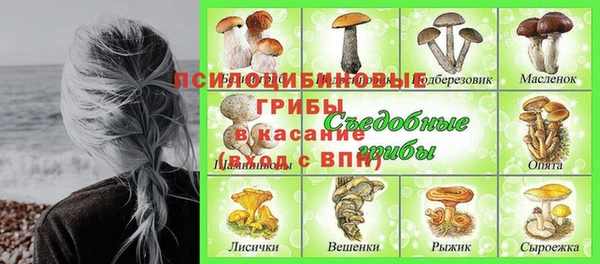 мяу мяу мука Абинск