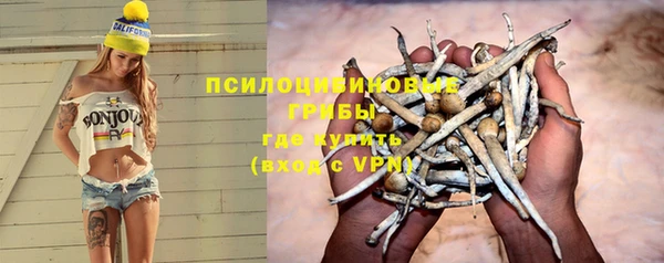mix Абаза