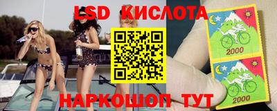 хмурый Кингисепп