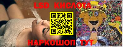 ПСИЛОЦИБИНОВЫЕ ГРИБЫ Кимры