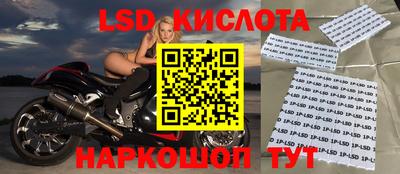 хмурый Кингисепп