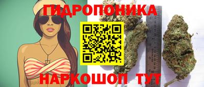 хмурый Кингисепп