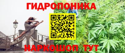 прущие крисы Комсомольск-на-Амуре