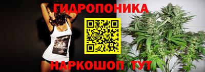 ПСИЛОЦИБИНОВЫЕ ГРИБЫ Кимры