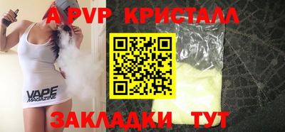 хмурый Кингисепп
