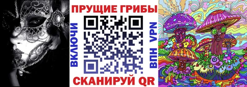Галлюциногенные грибы Magic Shrooms  Красный Сулин 