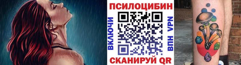 Галлюциногенные грибы Psilocybine cubensis Красный Сулин