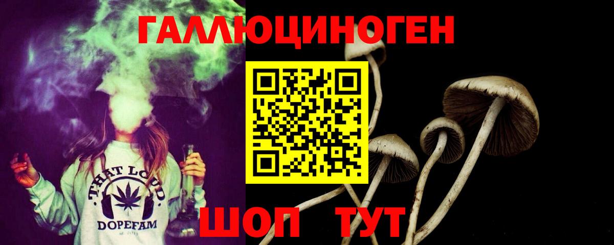 Галлюциногенные грибы Magic Shrooms Красный Сулин